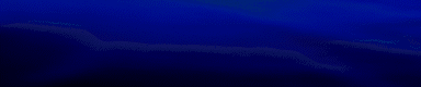 GIF LNV 384x80